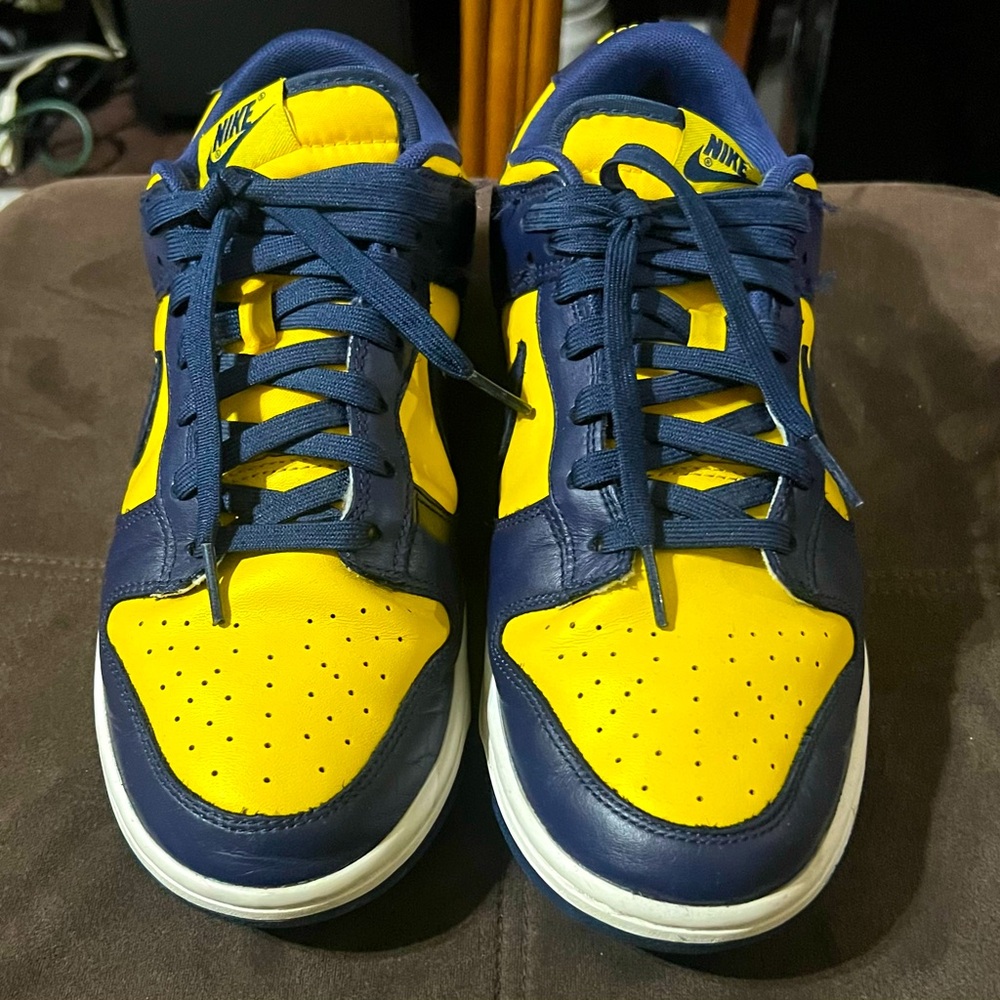 Nike Michigan dunk low